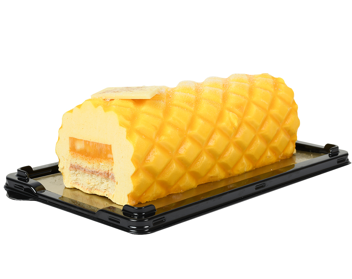 Bûche mangue/passion